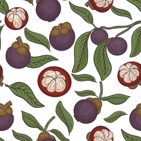 Seamless pattern with mangosteen, vector. Assorted fruits of mangosteen, repeating continuous background. Fruits are purple in whole and in parts, on a branch and leaves. Hand drawing.のイラスト素材
