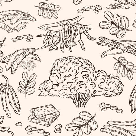 Carob seamless pattern, vector. Fruit sketch of the super product carob, wallpaper. Background with hand drawing pods, seeds and trees. Food template.のイラスト素材