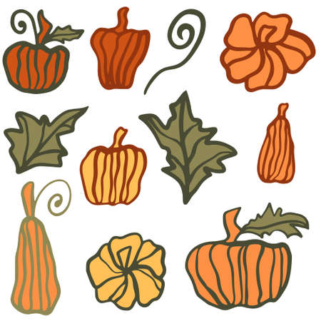 Set of different pumpkins freehand drawing vector illustration. Collecting the harvested pumpkin vegetables. Falling symfol, thanksgiving and halloween.のイラスト素材