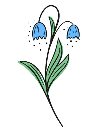Graceful beautiful flower blue bells line art, vector illustration. Contour image of a cute handmade wild flower. Black outline and colored spots, botanical decoration.のイラスト素材