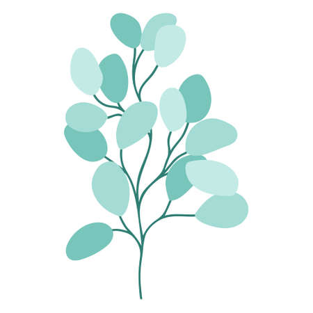 Eucalyptus twig drawn isolated botanical element. Green rounded leaves on a branch, trendy greenery for decoration. Plant for product design, invitations and cards, vector illustration.のイラスト素材