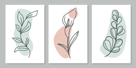 Set of line art paintings, vector illustration. Collection of botanical minimalist paintings, wall decoration. One line contour modern drawing. Vector illustration with flower and deciduous twigs.のイラスト素材