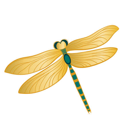 Dragonfly with golden wings, isolated object. Beautiful flying insect, hand drawing. Graceful dragonfly vector illustration.のイラスト素材