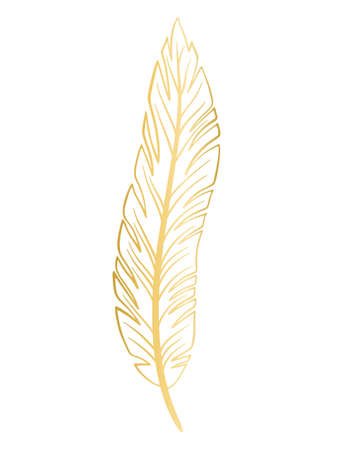 Gold feather isolated vector illustration. Beautiful graceful golden bird feather, decoration for cards or designのイラスト素材