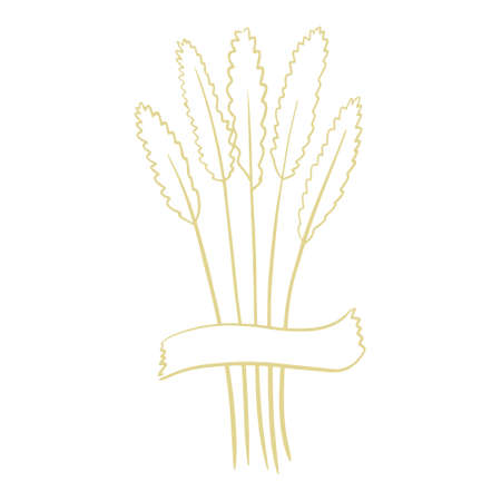 Spikelets of wheat glued with tape vector illustration. Ears of cereals isolated decoration. Plants for food, healthy eatingのイラスト素材