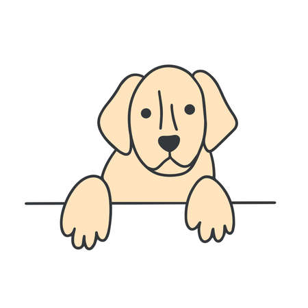 Muzzle labrador doodle style isolated vector illustration. Dog rests its paws on the table. Cute adult petのイラスト素材