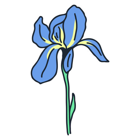Iris single beautiful rustic flower vector illustration. Colorful blue sky blossom isolated. Botanical natural decoration elegant flowerのイラスト素材