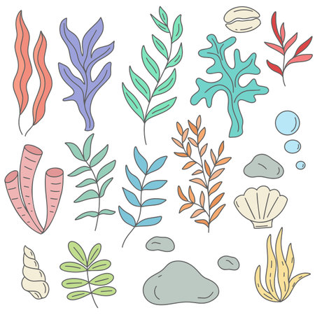 Sea and aquarium algae, shells and stones vector illustration set. Seaweed doodle style collection. Colored plants sea and ocean floorのイラスト素材