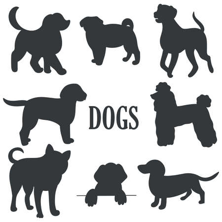 Dogs set black silhouette on white background. Pets shadow isolated vector illustration. Abstract images animals different breedsのイラスト素材