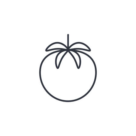 Tomato line icon vector illustration. Vegetable simple outline isolated image. Healthy organic food logoのイラスト素材
