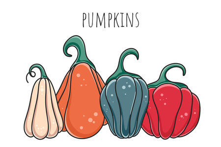 Set beautiful colored pumpkins vector illustration. hand drawn fall vegetable. Red orange blue beige pumpkin cartoon. thanksgiving autumn symbolのイラスト素材