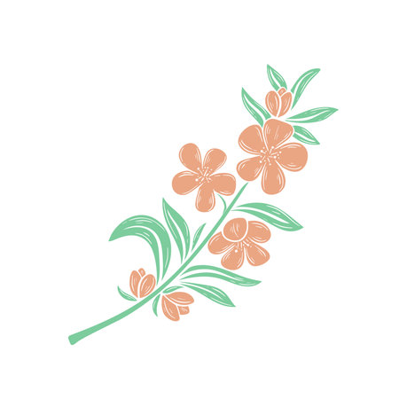 Flowering twig of apple or cherry tree. Delicate peach flowers and foliage branch. Natural decoration of apricot or almond blossom vector isolated illustrationのイラスト素材