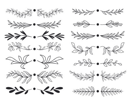 Set of botanical text dividers. Collection of leafy and twig decorations for postcards and invitations. Vintage delimiter and borders vector illustrationのイラスト素材