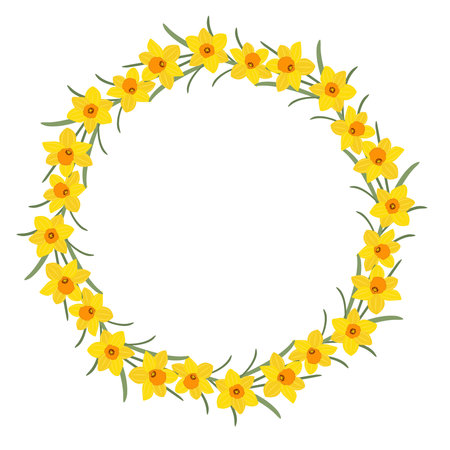 Daffodils circular floral wreath. Round frame with bright yellow flowers narcissus and herbs. Botanical flower rim, vector illustrationのイラスト素材