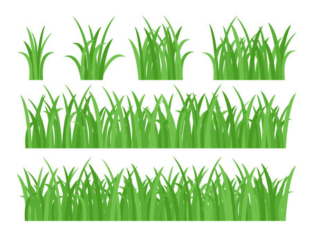 Green grass hand drawn set. Spring and summer bright juicy lawn. Grass fence or border. Meadow grass collection isolated vector illustrationのイラスト素材