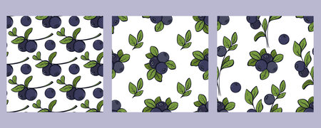 Vintage engraved blueberry seamless pattern set. Background with forest wild berries. Hand drawn berry print collection for packaging, paper, product design, vector graphicsのイラスト素材