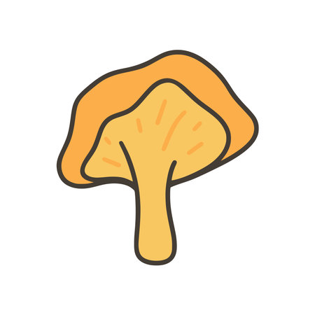Chanterelle mushroom clip art illustration doodle sketch style. Edible forest seasonal mushroom, vector graphicsのイラスト素材