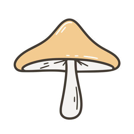 Agaric mushroom with large cap clip art. Forest single edible or poisonous mushroom, vector graphicのイラスト素材