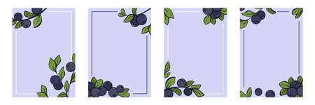 4 templates with juicy ripe blueberries. Vertical bilberry brochure with copy space set. Berry flyer. Healthy organic food leaflet for advertising, menu, presentation and other, vector graphicsのイラスト素材