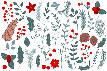 Winter set of botanical elements for design. Flowers poinsettia, holly, cones, berries, foliage and twigs hand drawn collection. Simple nature decor for cards, invitations, patterns and others, vector graphicsのイラスト素材