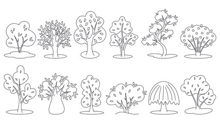 Trees black outline set. Minimal style, simple line images of different trees. Clip art. Vector graphicsのイラスト素材