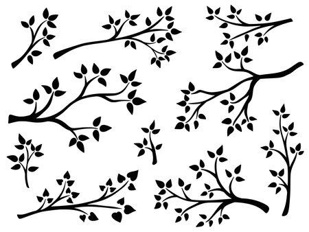Tree branch with leaves silhouette set. Collection graceful branches of deciduous trees, black shadow. Organic natural twigs clip art illustration. Vector graphicsのイラスト素材