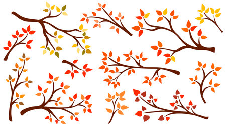 Set of branches with colorful autumn leaves. Collection twigs of tree with yellowed leaves of red, orange, yellow, brown color of different trees. Branches with falling foliage, vector elementsのイラスト素材