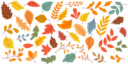Autumn leaf collection in muted soft tones. Leaves of different sizes and shapes, variation of trees twigs clip art. Botanical fall set, vector graphicsのイラスト素材