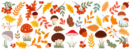 Autumn forest elements collection includes various leaves, twigs, berries, mushrooms and acorns. Colorful fall season set clip art icons. Vector graphicsのイラスト素材