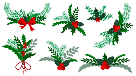 Botanical holiday winter decor for Christmas and New Year s designs. Set of compositions of fir branches, leaves, holly and berries. Clip art Christmas attributes, vector elementsのイラスト素材