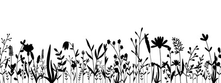 White background with black silhouettes of wildflowers and herbs. Botanical floral border. Plant shadow horizontal template, vector graphicsのイラスト素材