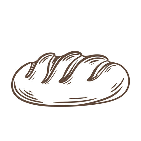 Loaf of fresh, airy wheat bread, doodle sketch style illustration. Baked bread isolated on white background. Vector elementのイラスト素材