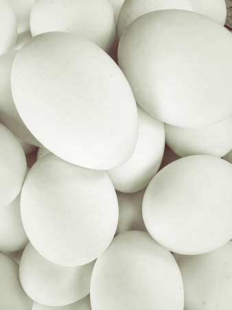 Duck eggs on white background.の写真素材