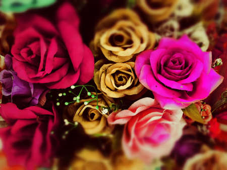 orange flowers close up.の写真素材