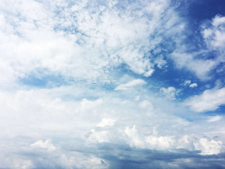 concrete wall texture backgrounds.の写真素材