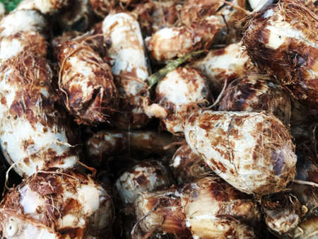 Boiled taro head for market sale.の写真素材