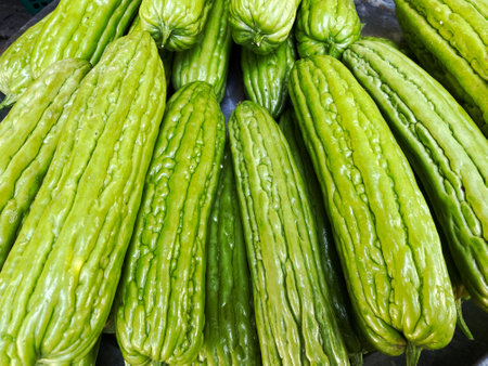 Pile of green bitter melon in the market.の写真素材