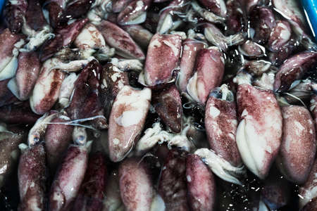 Fresh squids at seafood market,East of Thailand,Taken by full frame camera.
