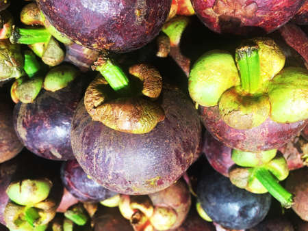 Healthy fruits Red mangosteen background, dark mangosteen, dark mangosteen in a supermarket local market bunch of mangosteen ready to eat.の写真素材