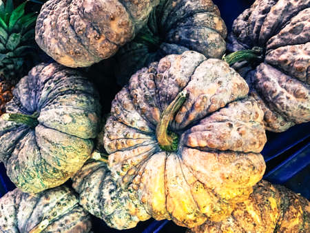 a lot of mini pumpkin at outdoor farmers market.の写真素材