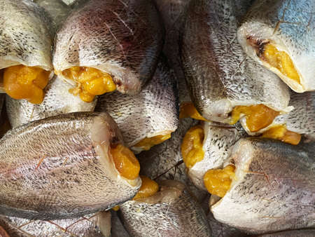 close up drying snakeskin gourami fishes.の写真素材