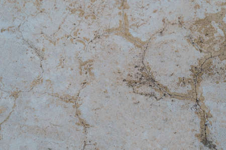 Texture of old gray concrete wall. vintage white background of natural cement or stone old texture...