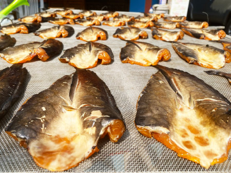 Catfishes are on the rack to make dried fish for sell Dried catfish is one of the most common food...