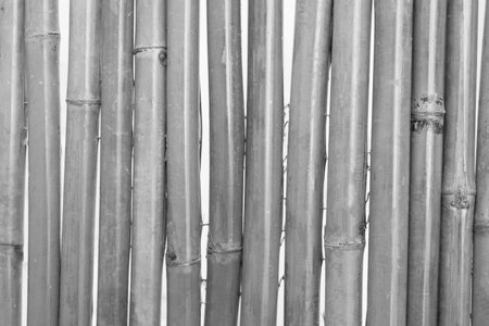 Bamboo house wall in black and white, bamboo wall background..の写真素材