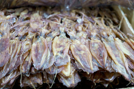 Dried squid in the sea food Thailand market.の写真素材