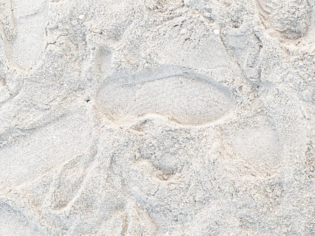 Shoe prints on the sand of a desert.の写真素材