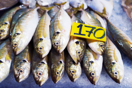 Fresh seafood at the market.