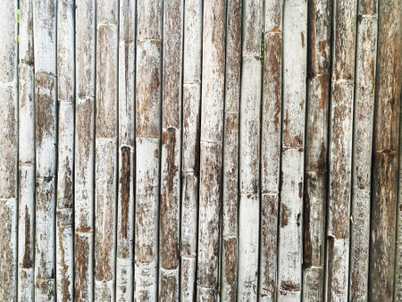 Bamboo trunk background and texture.の写真素材