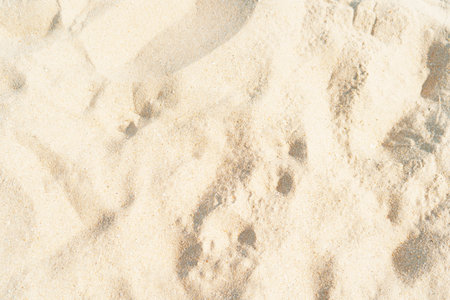 Sand on the beach background.