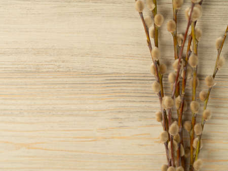 Willow branches lie on a wooden table to the right, copy space, view from above, horizontal...